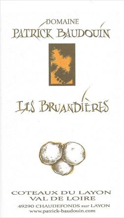Les Bruandieres