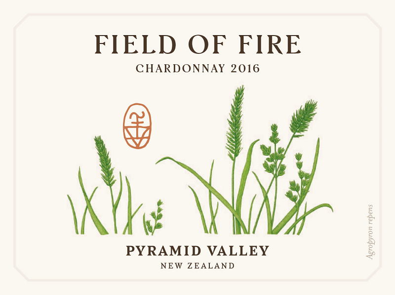 Field Of Fire
