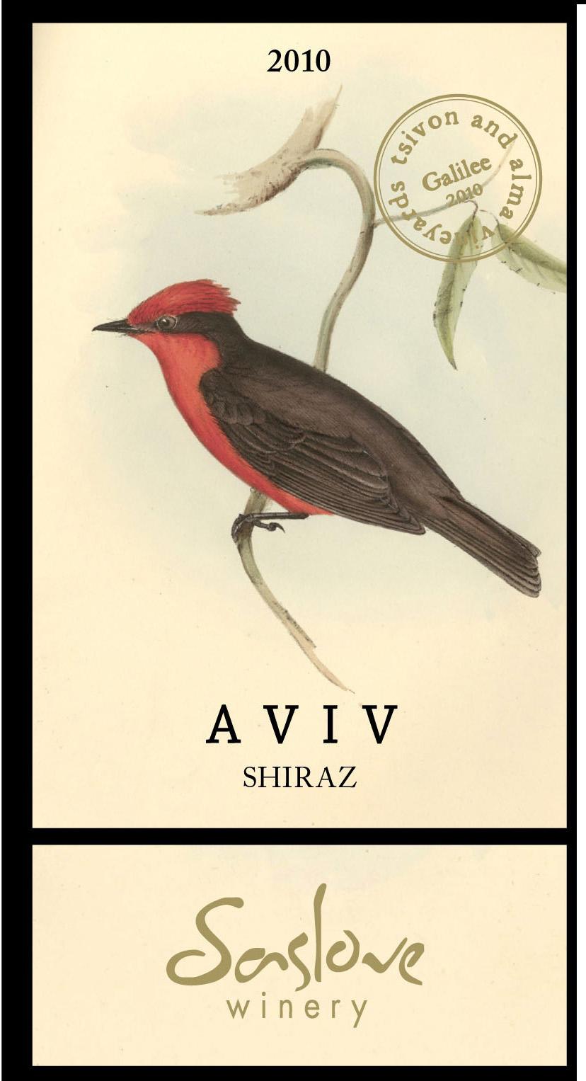Aviv Shiraz