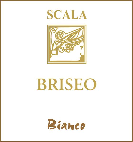Briseo