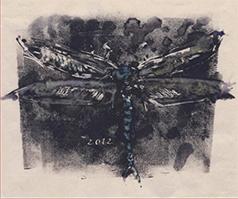 Terry Hoage Vineyard