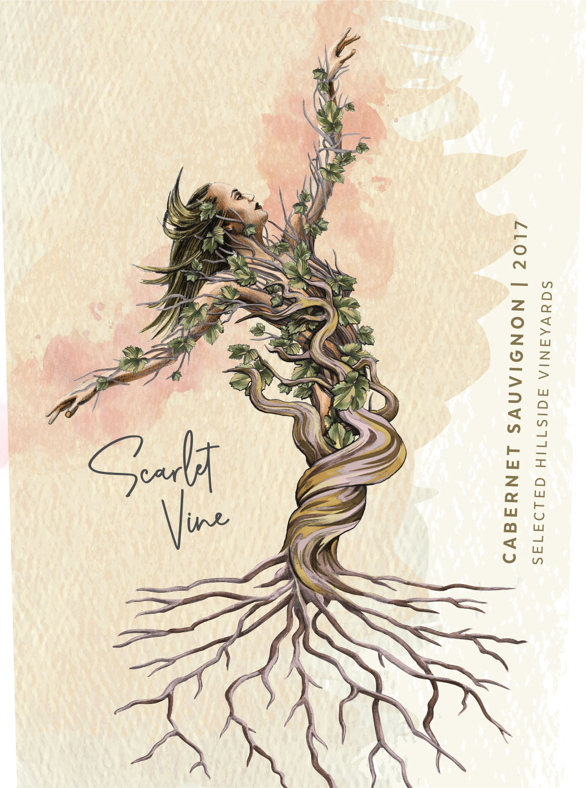 Cabernet Sauvignon Selected Hillside Vineyards