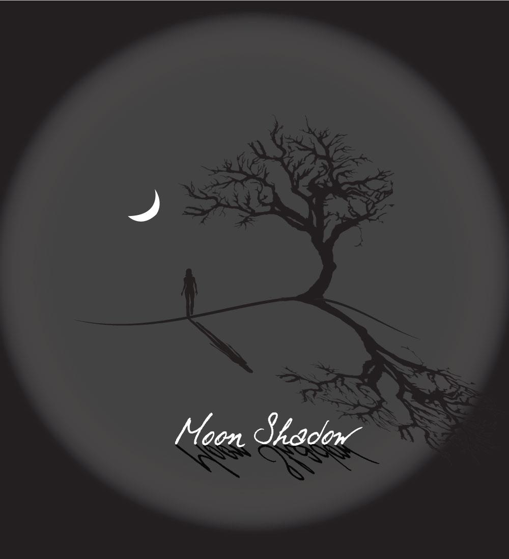 Moon Shadow