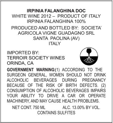 Irpinia Falanghina