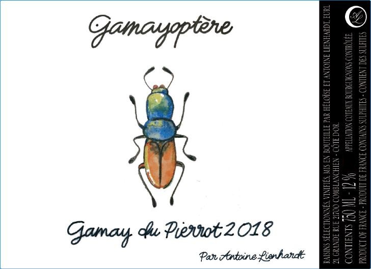 Gamayoptere