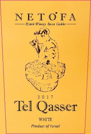 Tel Qasser
