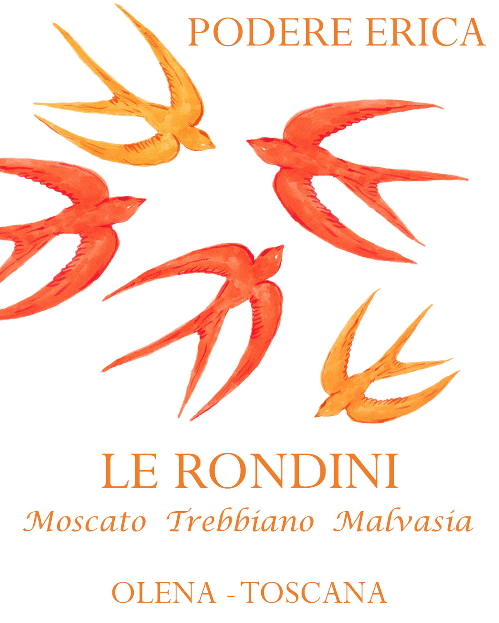 Le Rondini