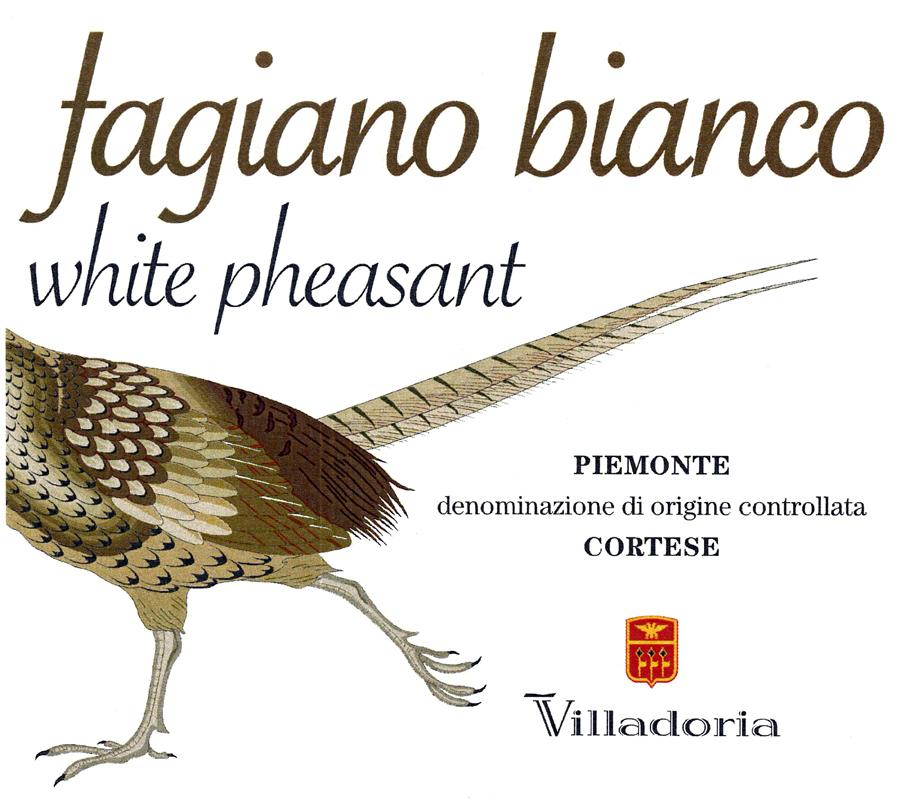 Fagiano Bianco