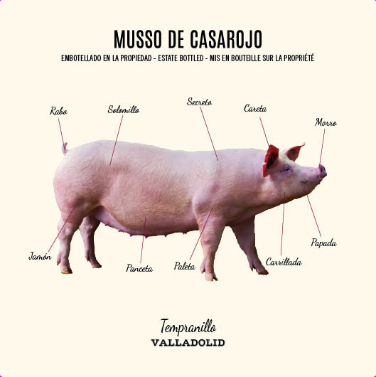 Musso De Casarojo