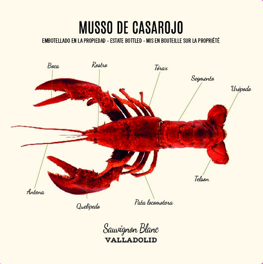 Musso De Casarojo