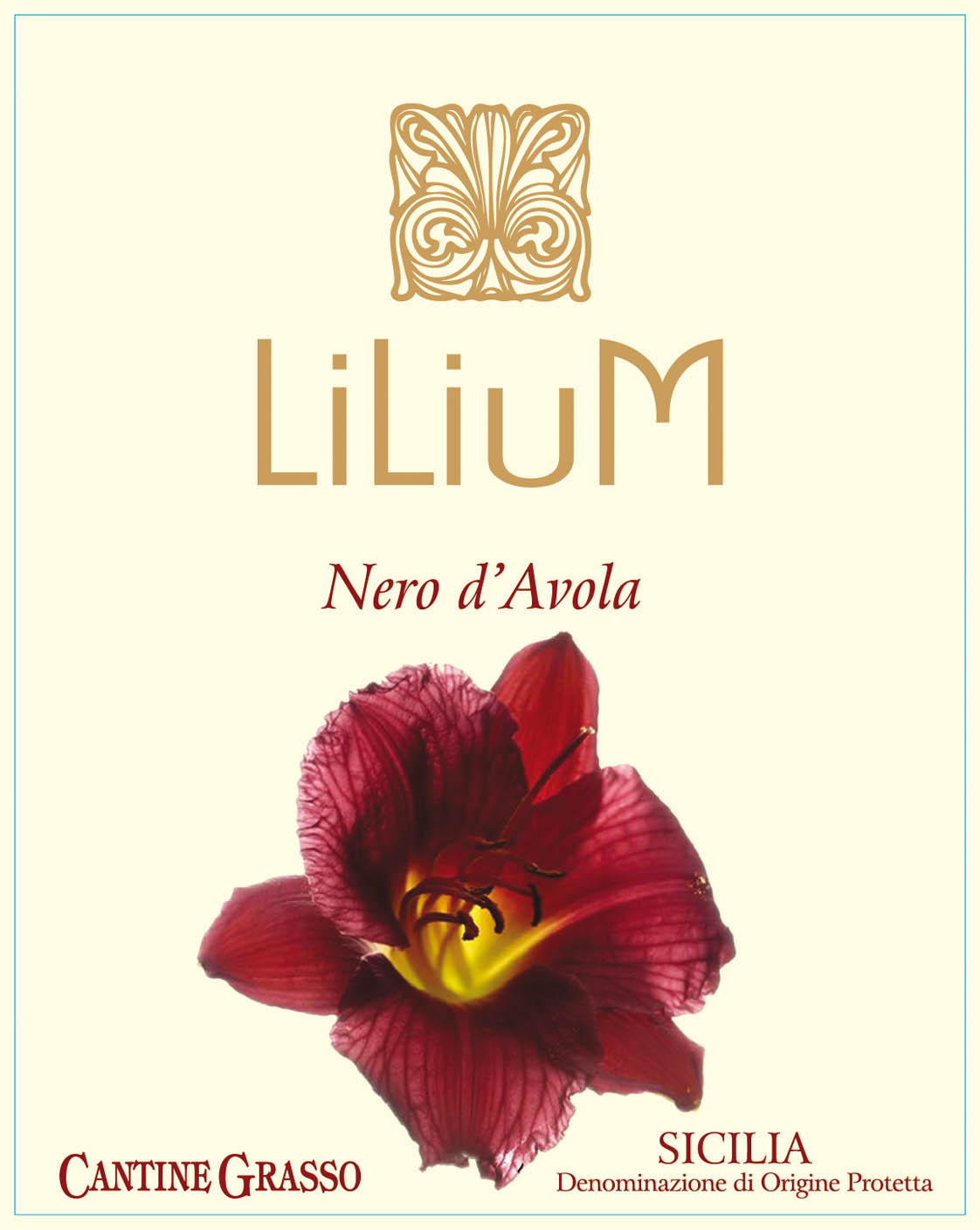 Lilium