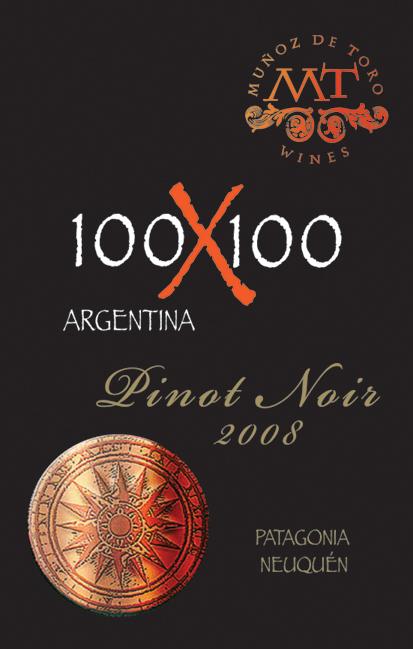 100X100