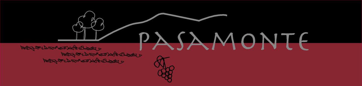 Pasamonte