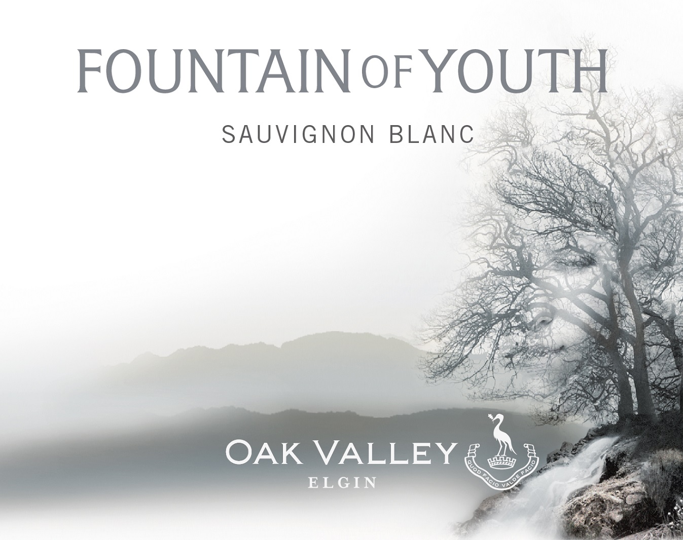 Fountain Of Youth