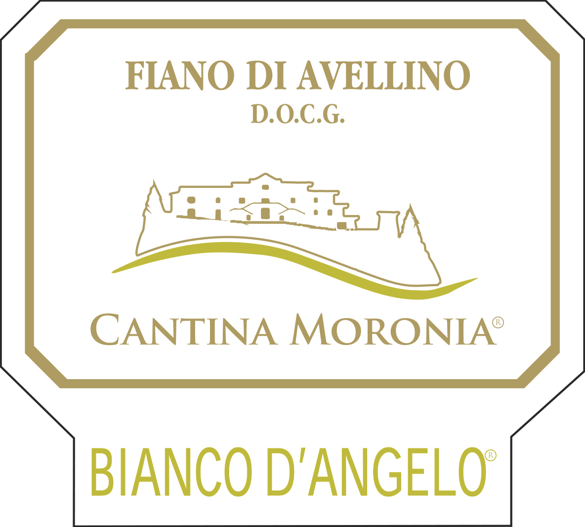 Bianco D'angelo