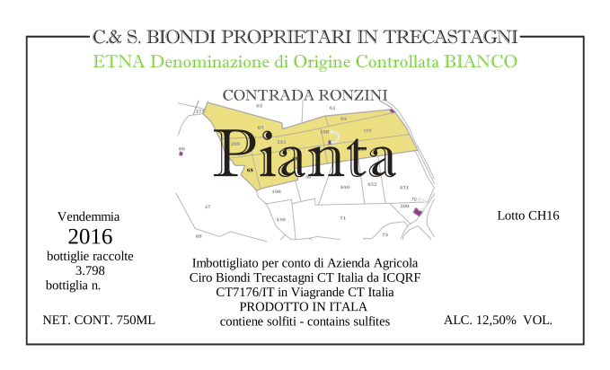 Pianta