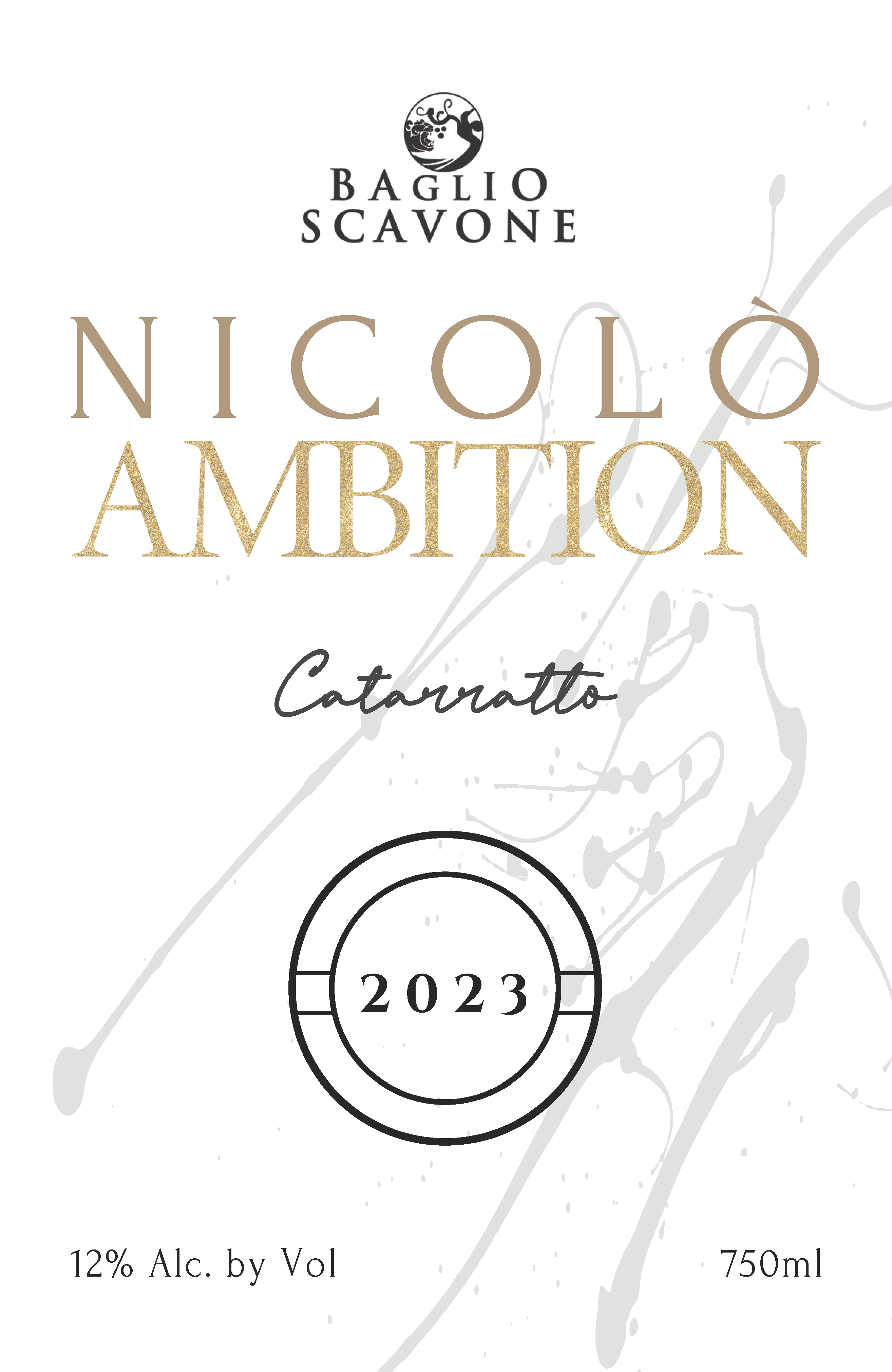 Nicolo Ambition