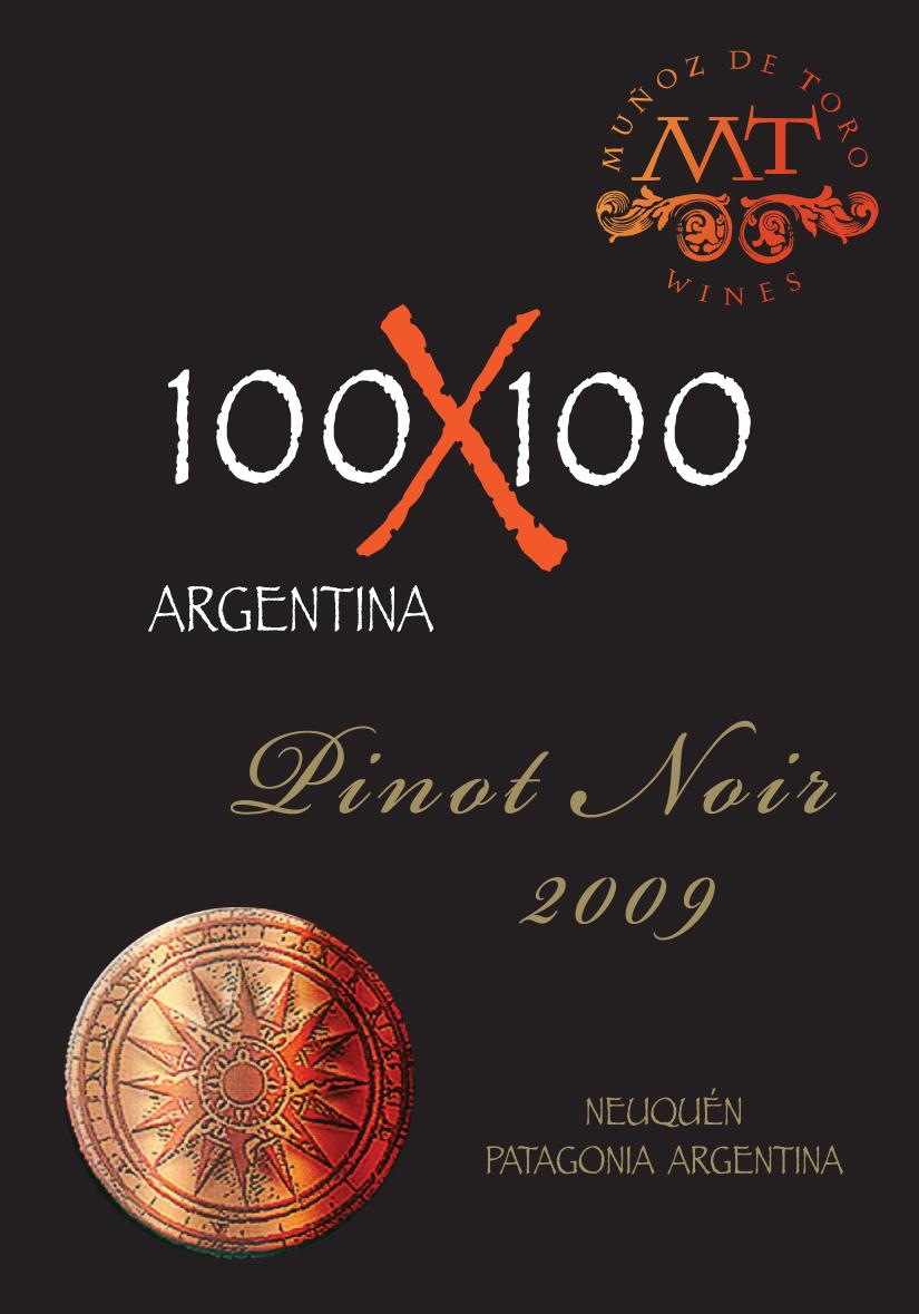 100X100