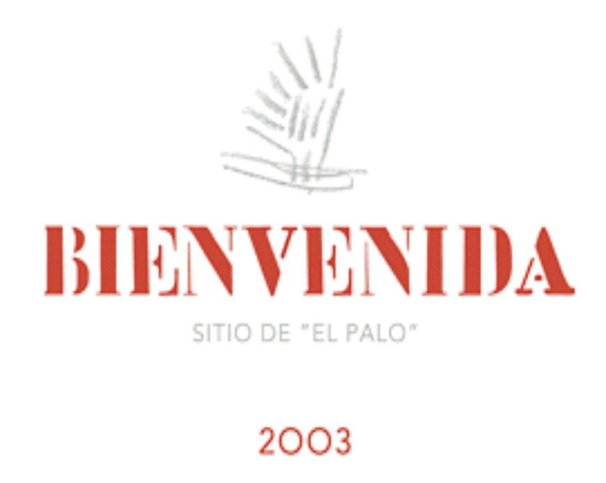 Sitio de 'El Palo'