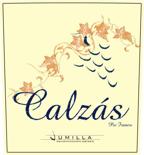 Calzás