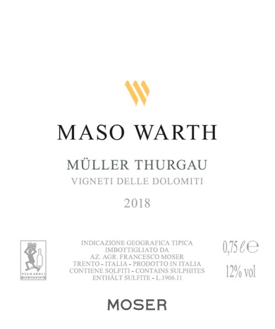 Maso Warth