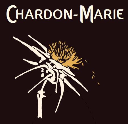Chardon-Marie