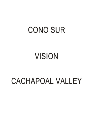 Vision