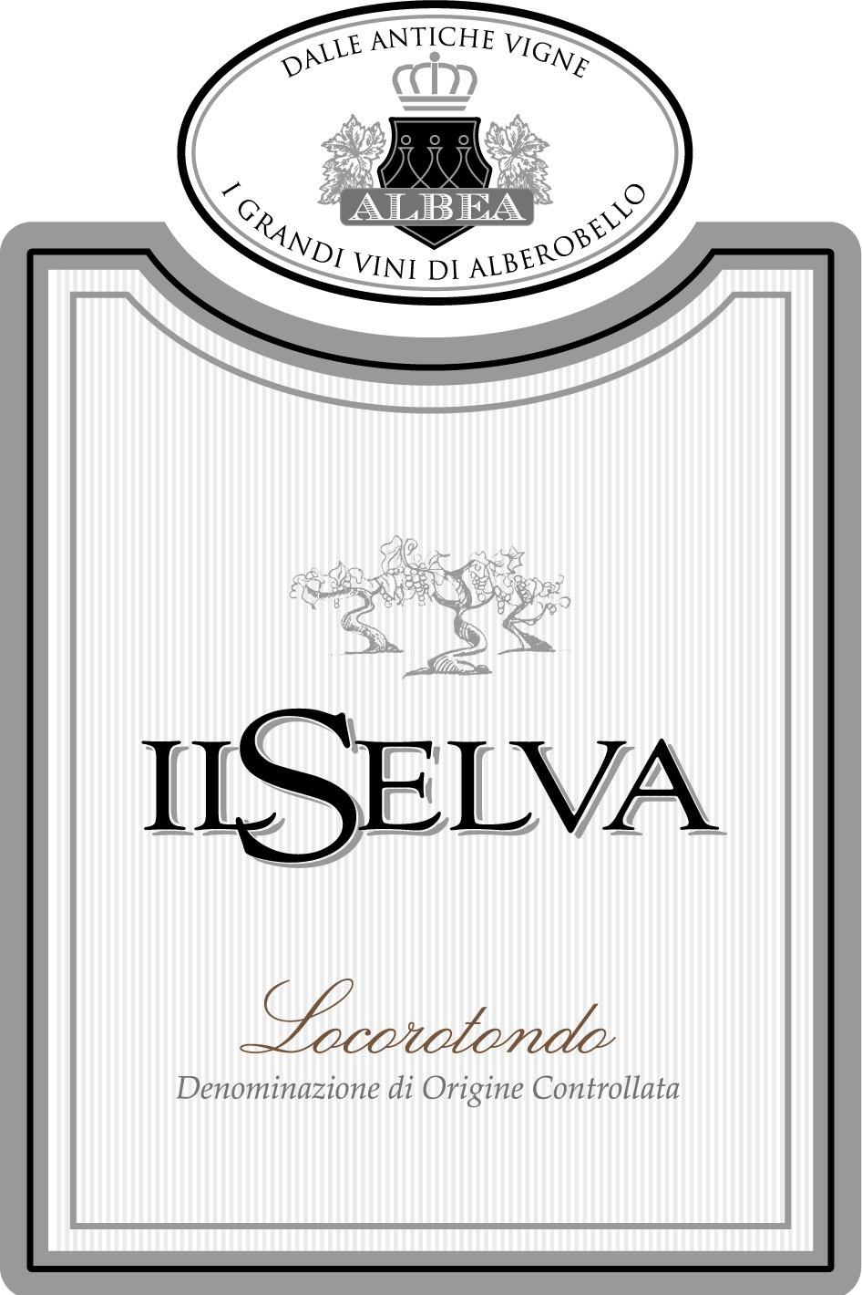 Selva
