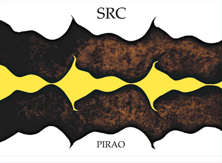 Src Pirao