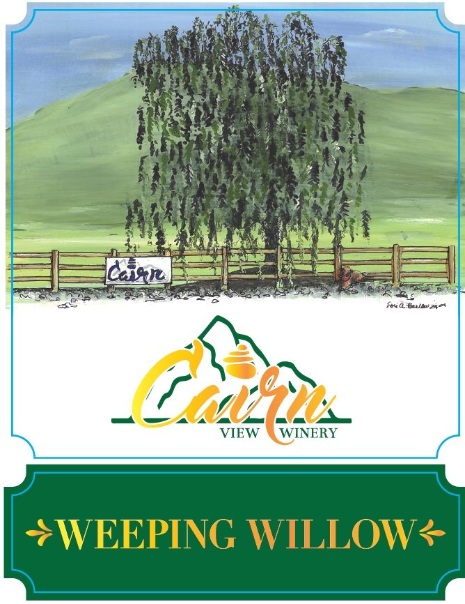 Weeping Willow White