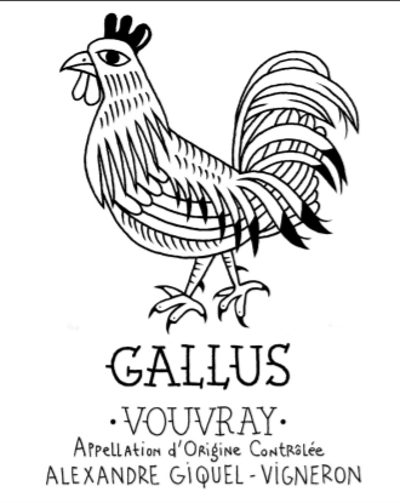 Gallus