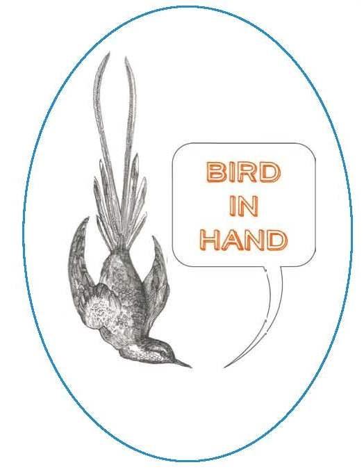 Bird in Hand