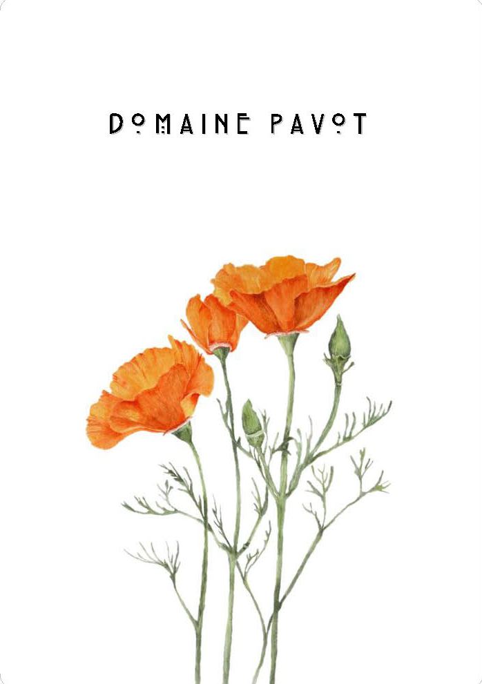 Domaine Pavot