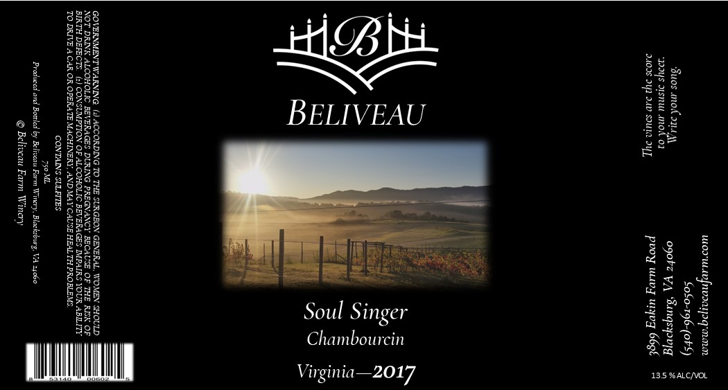 Soul Singer 2017