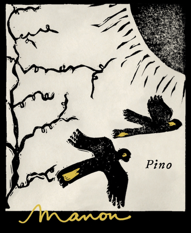 Pino