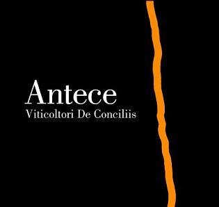 Antece