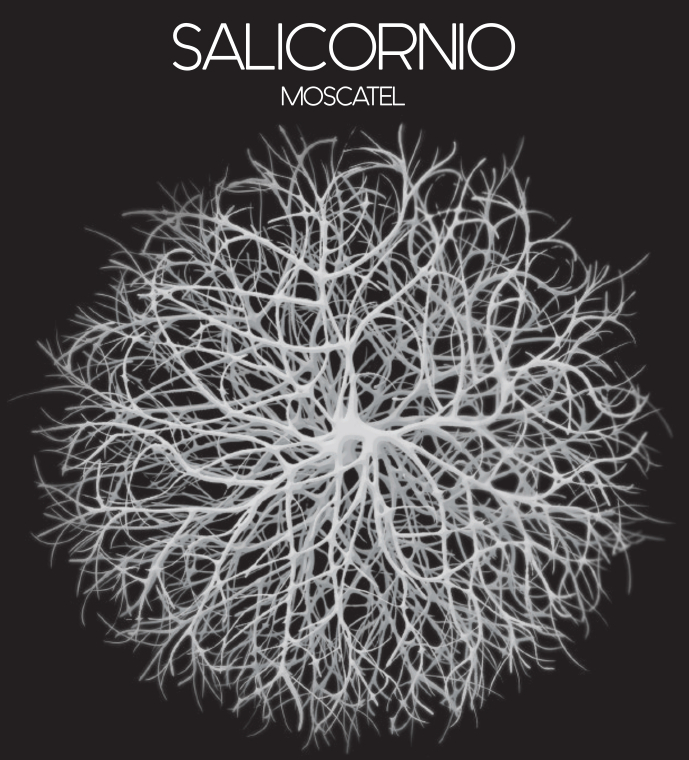 Salicornio
