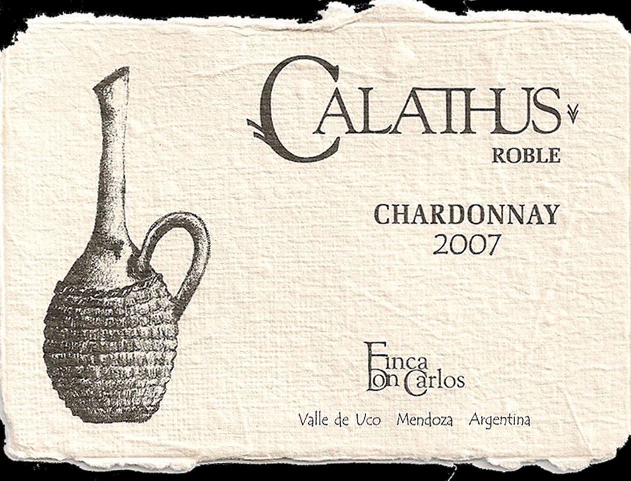 Calathus Roble