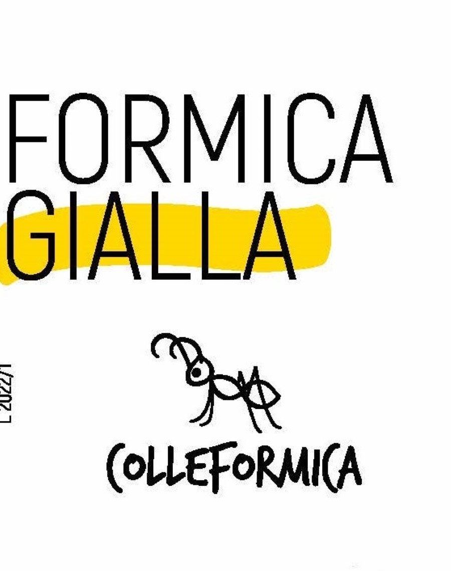 Formica Gialla