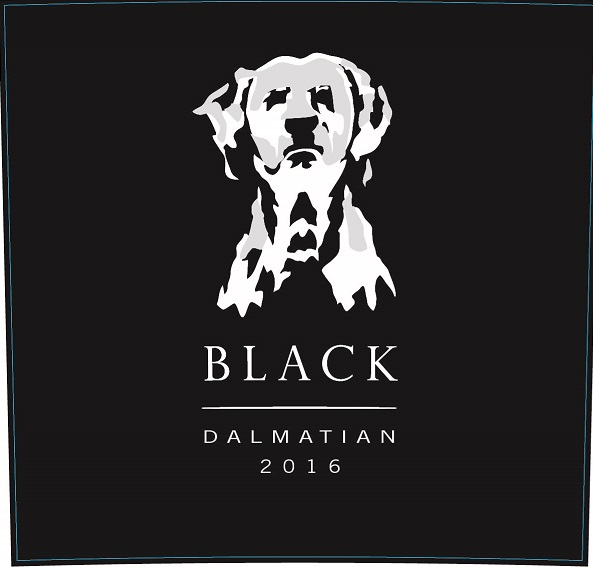 Black Dalmatian
