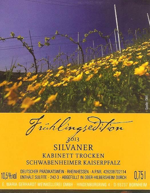 Schwabenheimer Kaiserpfalz