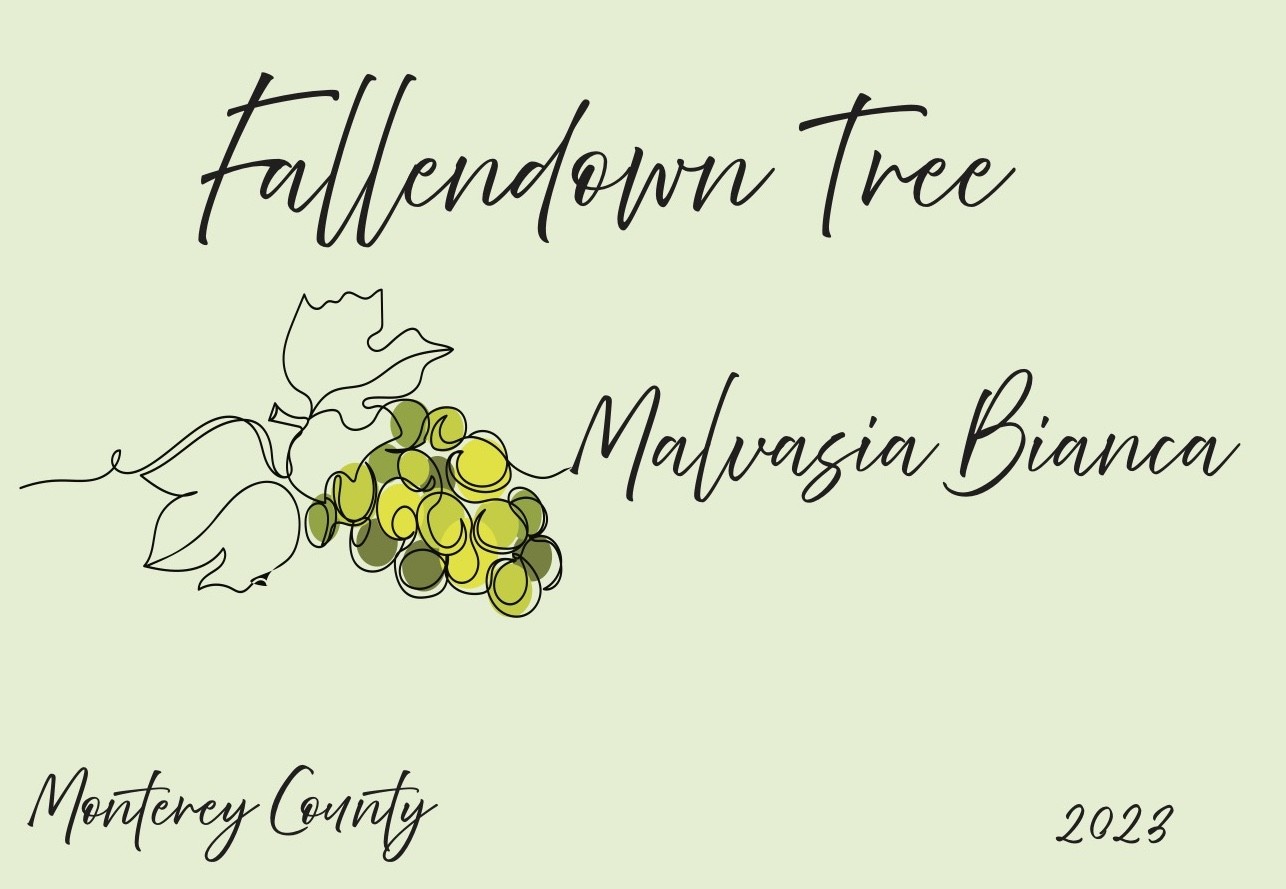Fallendown Tree Malvasia Bianca