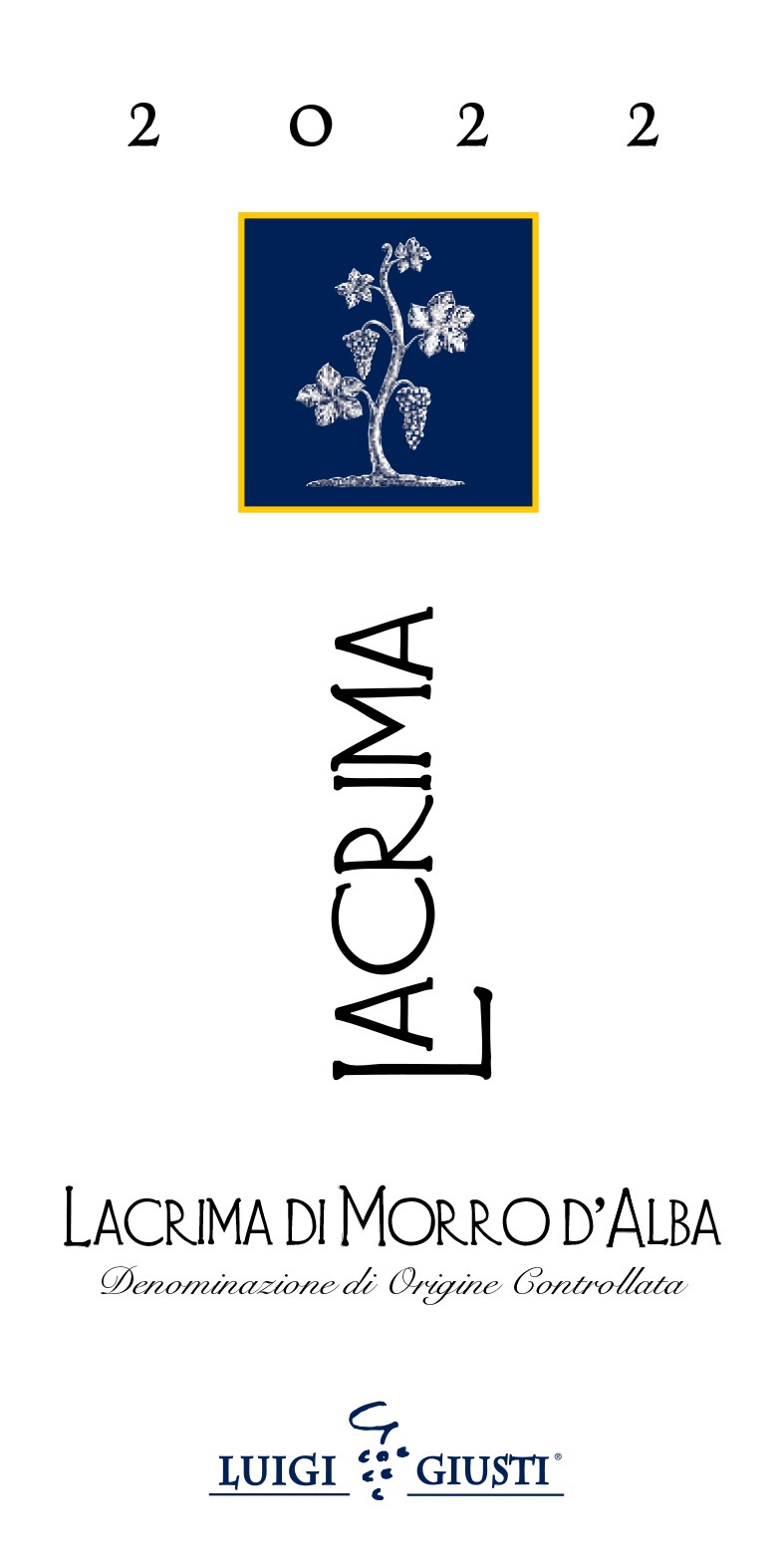 Lacrima Di Morro D'alba