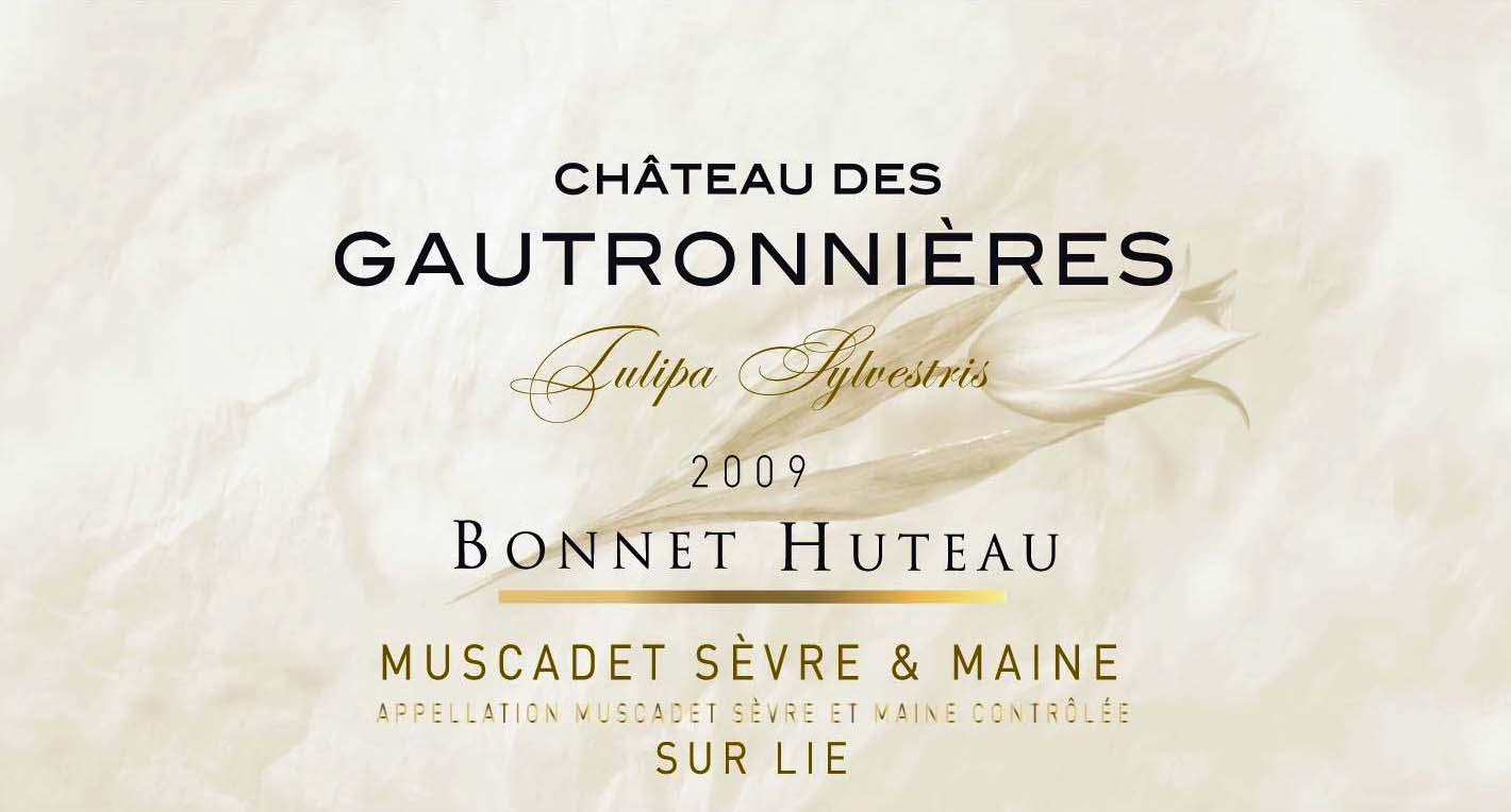 Chateau Des Gautronnieres