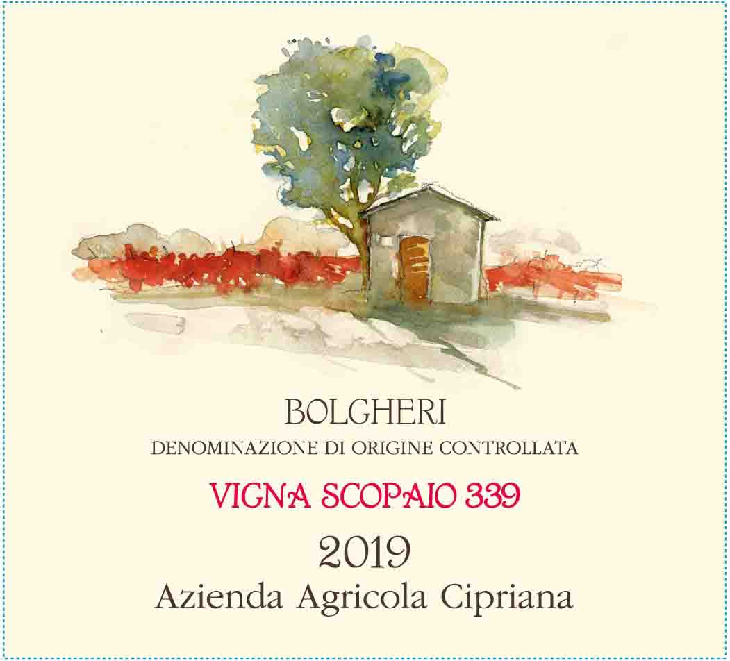 Vigna Scopaio 339