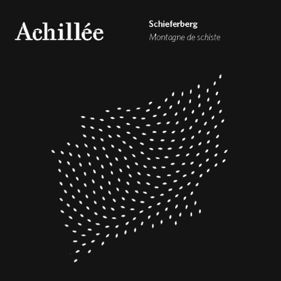 Schieferberg Riesling