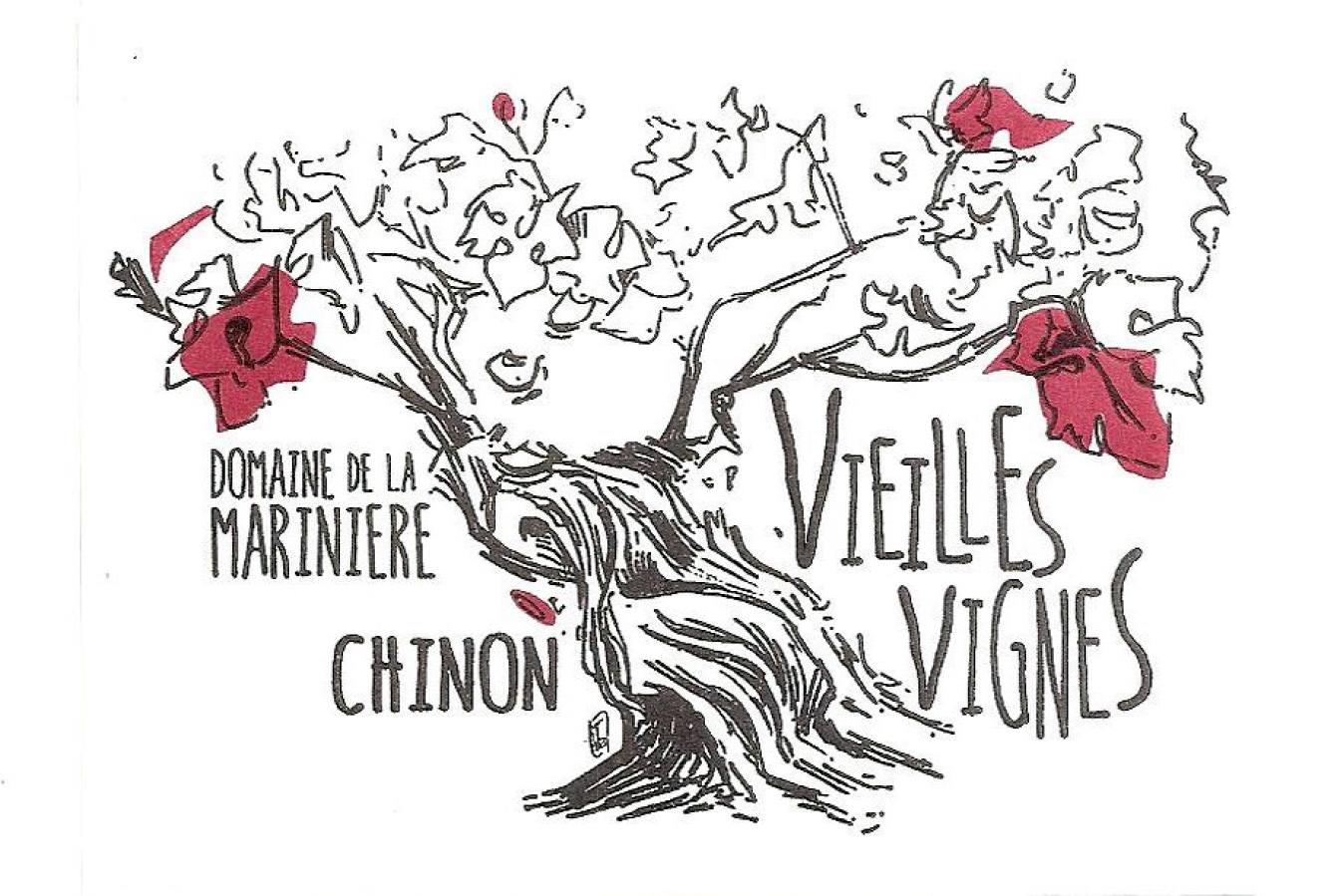 Vieilles Vignes