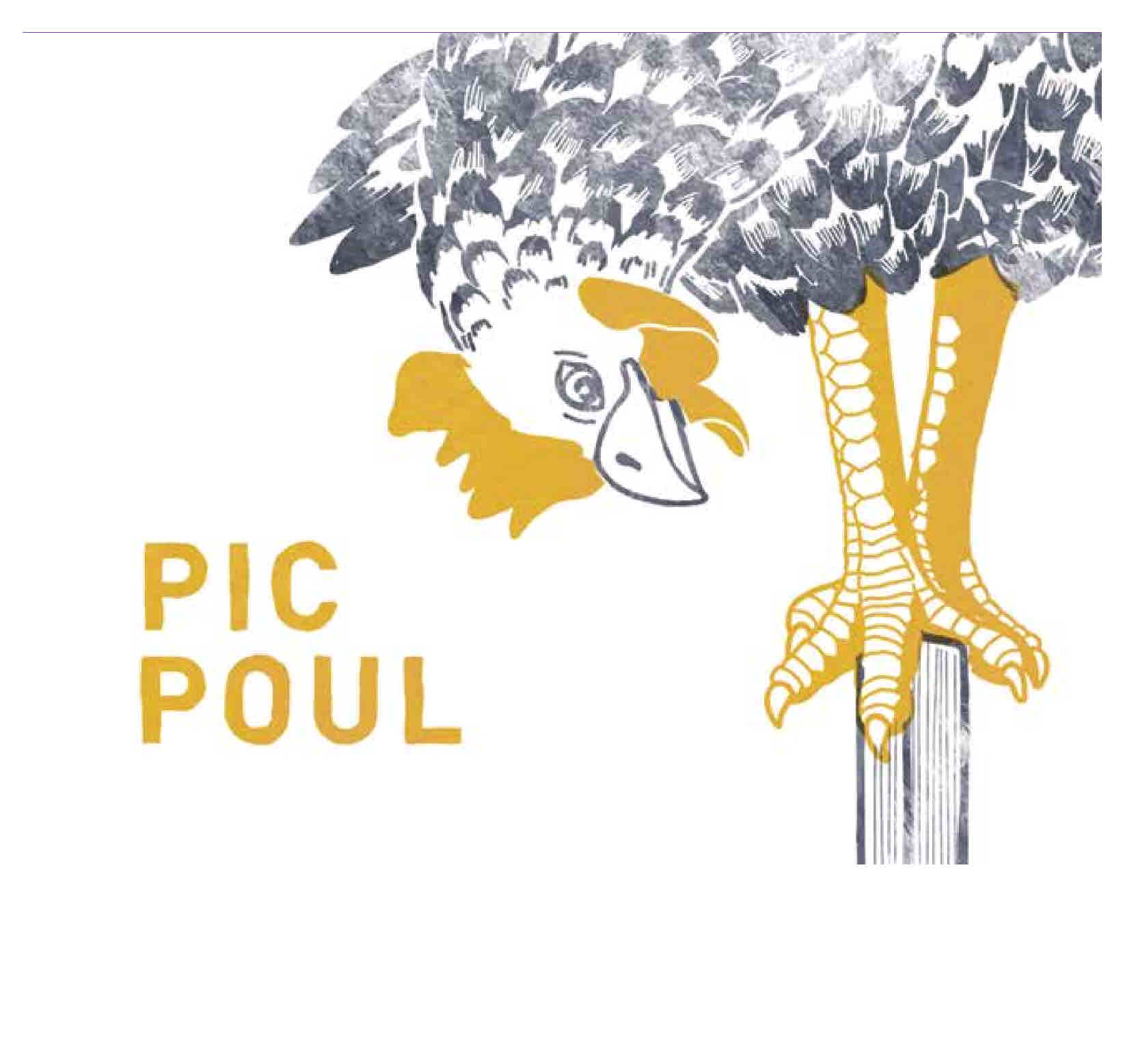 Les Equilibristes Pic Poul