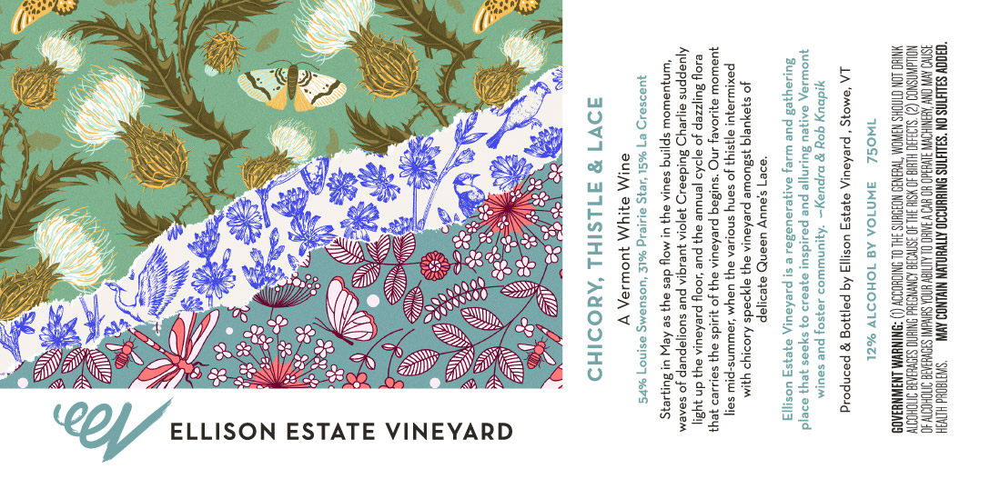 Chicory, Thistle & Lace