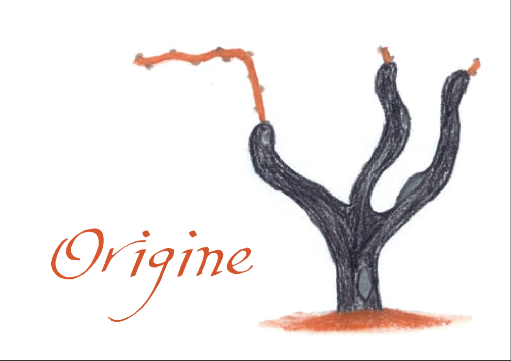 Origine